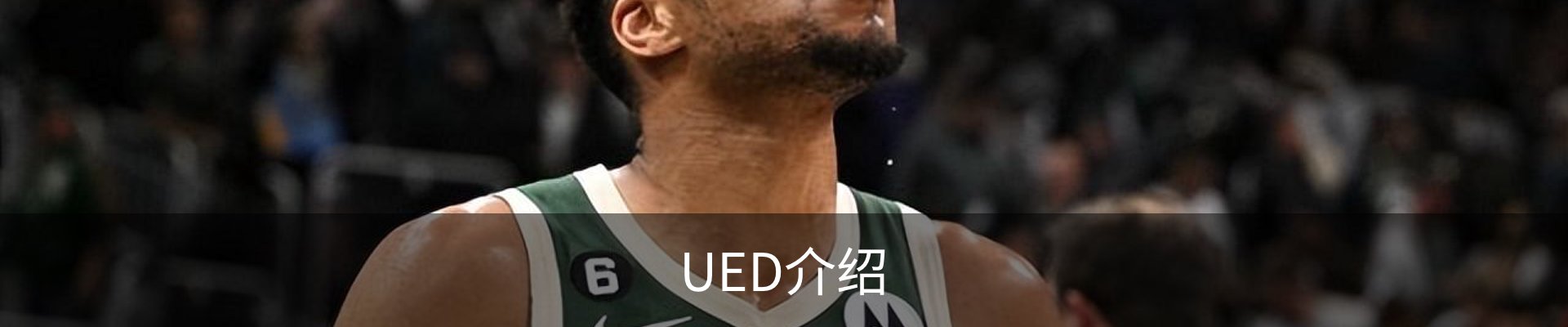 UED介绍